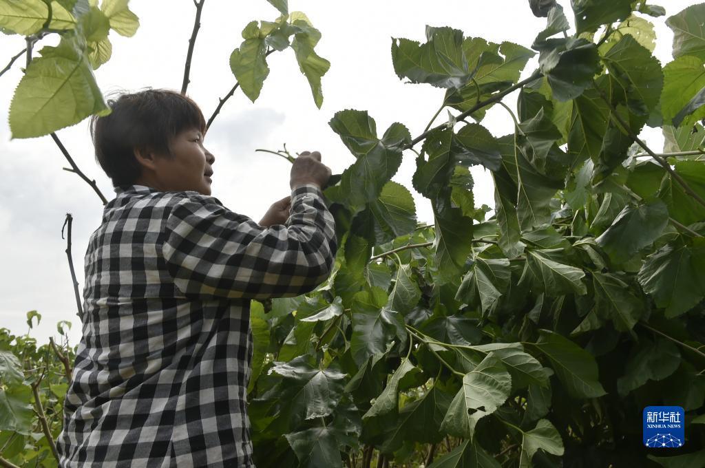 答题大满贯下载